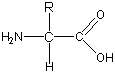 aminacid2